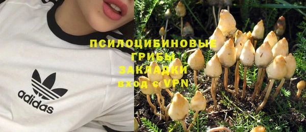 скорость Горнозаводск