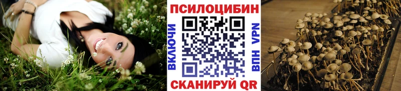 купить наркотики сайты Остров Псилоцибиновые грибы мицелий